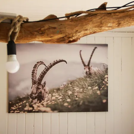 Zum Klettersteig - Kletterwand, Abstellraum Fuer Oder Bikes, Sauna, Kellerbar, Ferienhaus Bürs